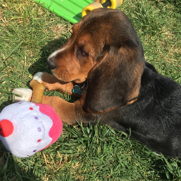 Meet your Posher, Jennifer - Picture 5 of 6